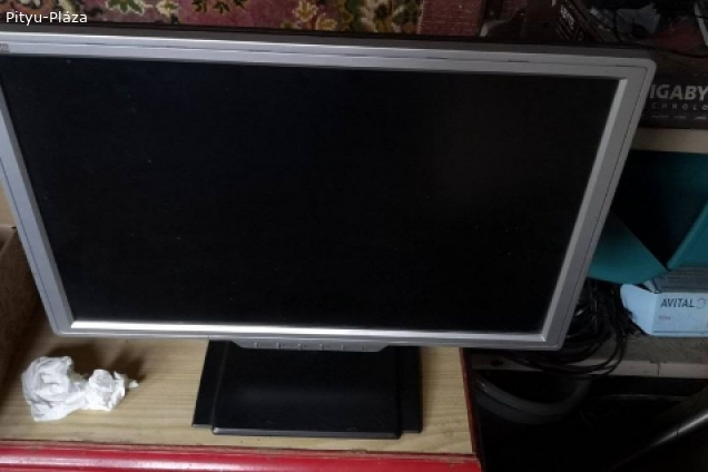 LCD monitor